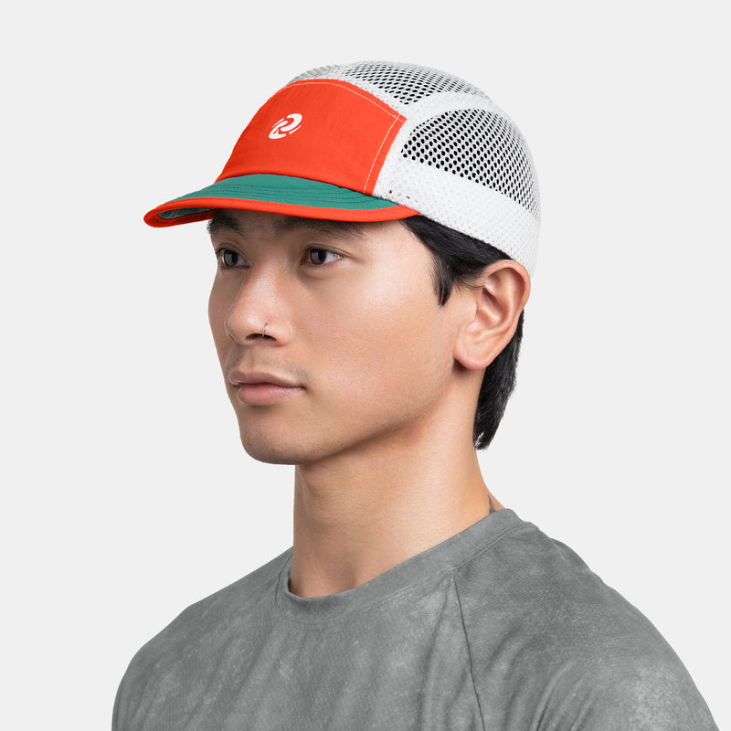 #color_Portland Orange