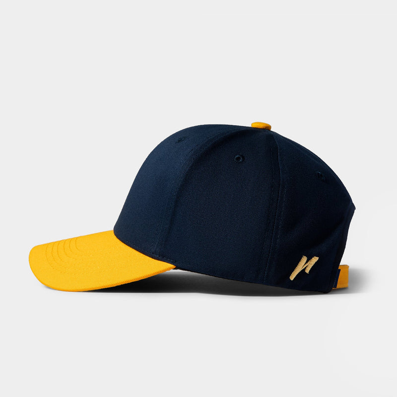 #color_Navy x Yellow